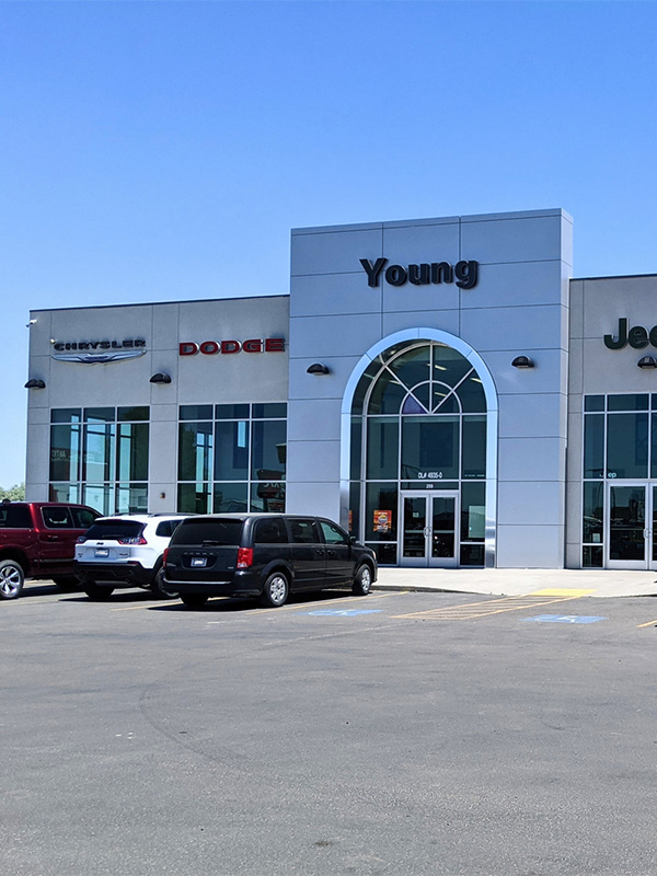 Young Automotive